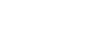 Ford Client Logo Auckland